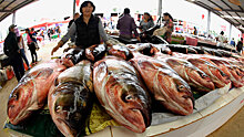 Диетолог: глубоководная рыба может быть опасна для здоровья