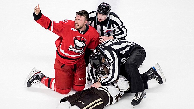 Канадский журналист требует запретить драки в хоккее: «Это безумие должно прекратиться»