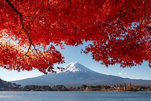 Спрос россиян на осенние туры в Японию вырос на 30%