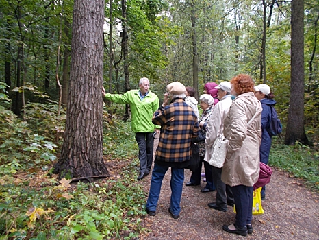 Представители старшего поколения района Коньково совершили экскурсию в Битцевском лесу