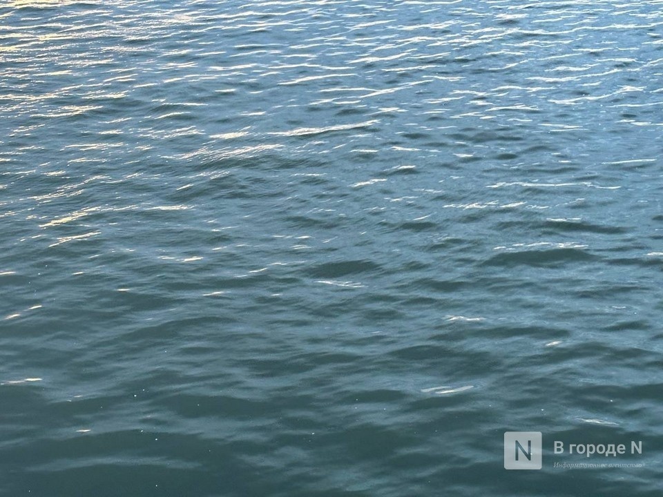 Тело человека достали из воды на Гребном канале в Нижнем Новгороде