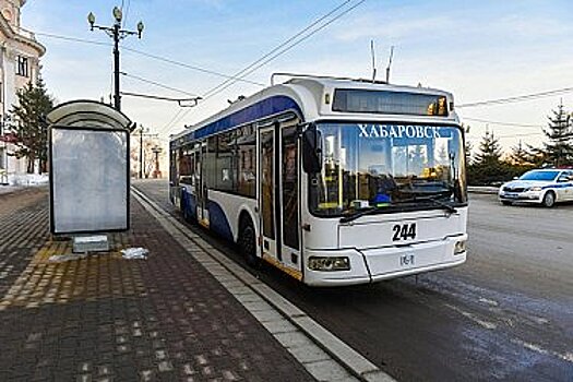 Эксперт поддержал курс Дегтярева по перезагрузке сферы транспорта в Хабаровском крае