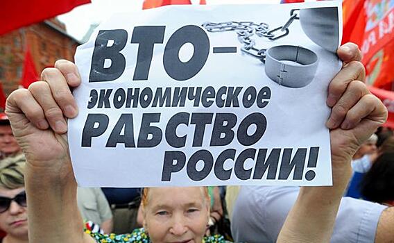 Юрий Болдырев: «Суда ВТО больше нет, но приговор России вынесен»