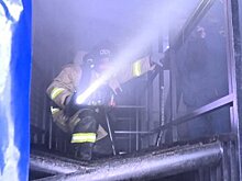 Журналистка 11 канала смогла выбраться из теплодымокамеры