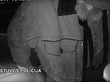 В Литве 84-летний водитель проехал по встречной полосе