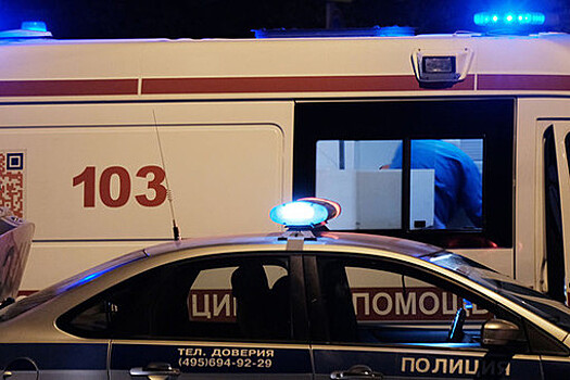В аварии с начальником отдела ГИБДД на алтайской трассе погибли два человека