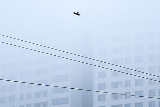 "Желтый" уровень погодной опасности объявили в Москве из-за тумана