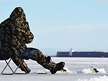 Жителям российского приграничья посоветовали отказаться от камуфляжа