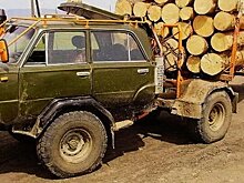 Самодельные тракторы: может, проще копить на новый?