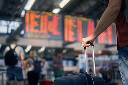 Потенциальных дебоширов планируют выявлять до посадки в самолет