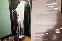 Дебоширы из ФБК облили краской дверь Ковалевой, рассказавшей о диверсии Соболь с отравлением детей