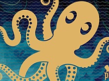 Льюис Пуллман и Салли Филд снимаются в фильме о дружбе женщины и осьминога