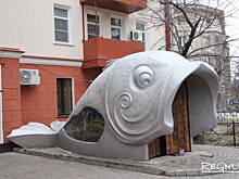Рыба раздора: арт-объект в центре Воронежа вызвал яростную дискуссию
