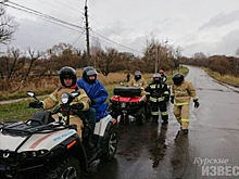 Курская область.В поисках Даниила Бирюкова участвуют 350 человек