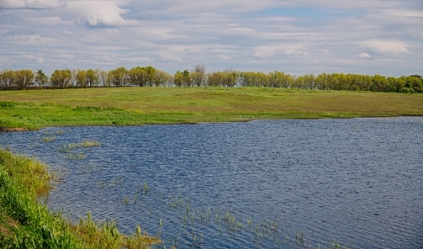 Волгоградские ученые внесут вклад в сохранение водоемов России
