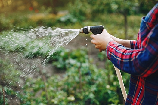 Эксперт рассказала, можно ли поливать огород водой из скважины