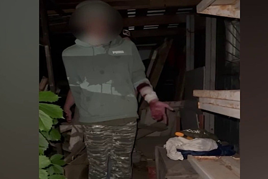 Вскрылась шокирующая причина нападения подростка с молотком на девочек в Домодедово