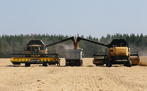 Китай прокомментировал проблему вывоза зерна с Украины