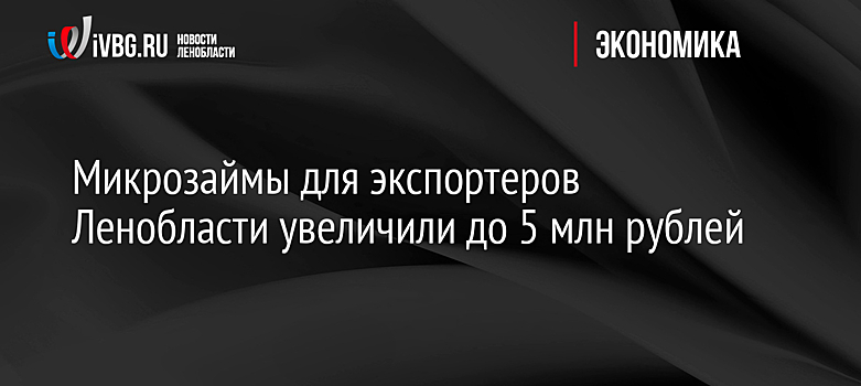 Микрозаймы для экспортеров Ленобласти увеличили до 5 млн рублей