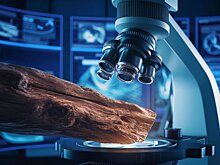 Российские ученые создали топливо из отходов древесины