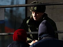 В ГД назвали разумной идею предоставлять академотпуск желающим участвовать в СВО студентам
