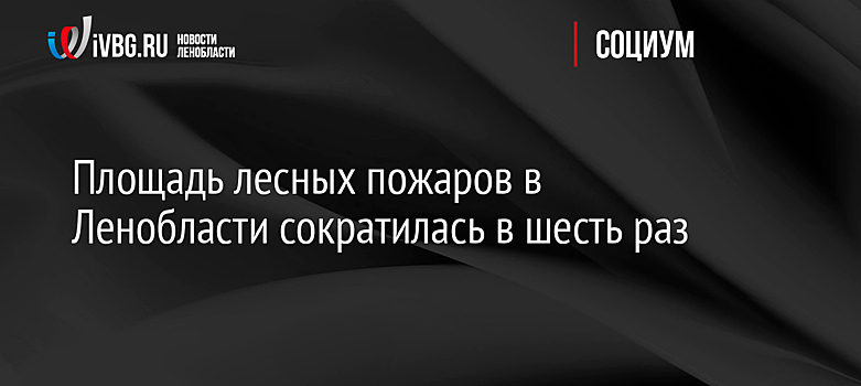 Площадь лесных пожаров в Ленобласти сократилась в шесть раз