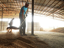 Китай усилит сотрудничество с РФ в сельском хозяйстве