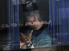 Обязательная эвакуация объявлена еще в семи пунктах Харьковской области