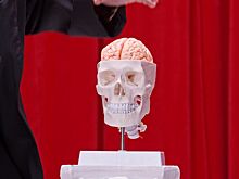 Стартовали съёмки документально-игрового сериала «Призраки. Природа страха»