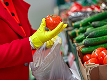 Какие помидоры могут быть смертельно опасны