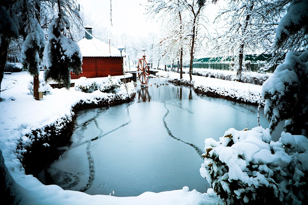 Белград, Сербия, Европа