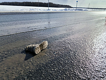 Выбежавшая на дорогу девушка погибла в Тюменской области