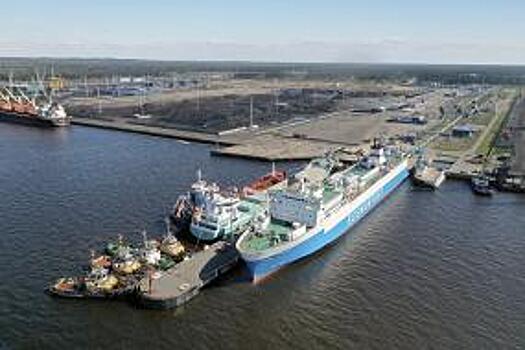 «Новотранс» обеспечил перевалку 850 тыс. тонн грузов на паромном комплексе в порту Усть-Луга