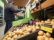 Российским компаниям объявили предостережения из-за роста цен