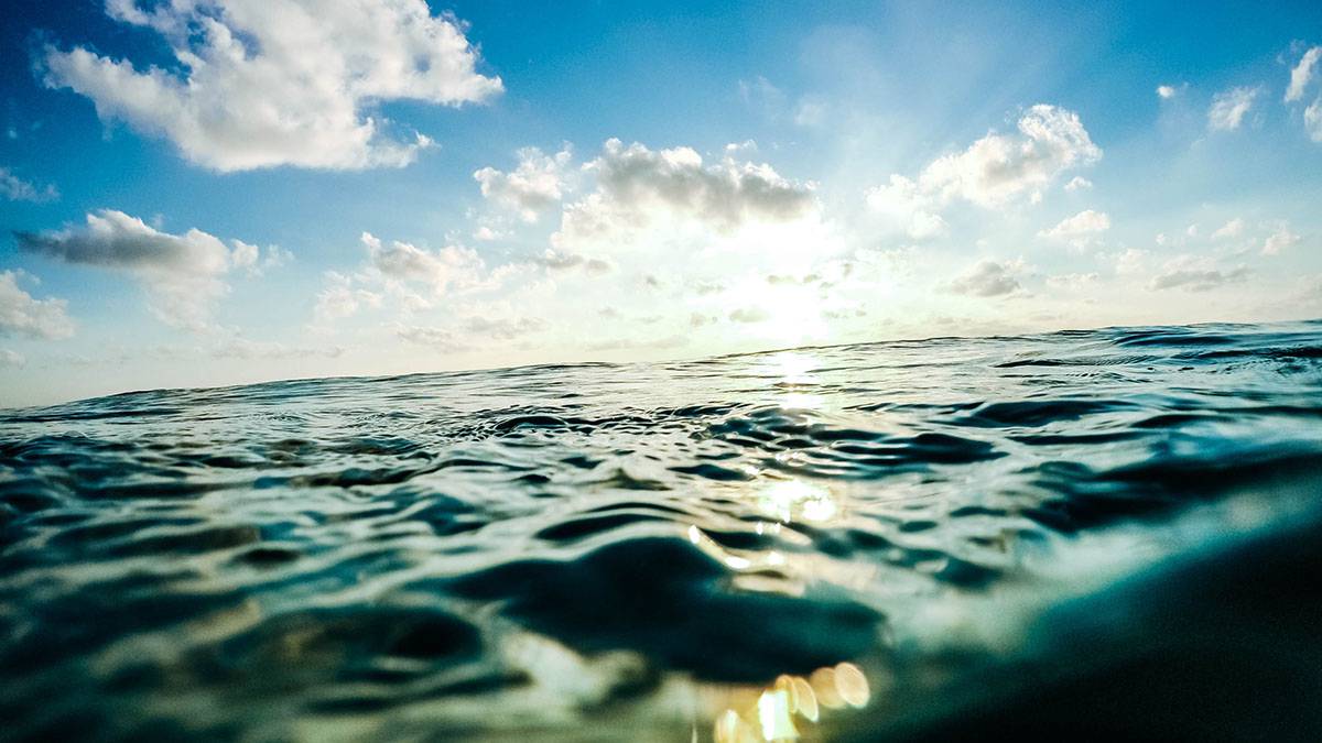«Подплывать спереди нельзя»: эксперт рассказал, как спасти тонущего человека