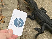 Дороже бананов: почему растут оптовые цены на морковь? ЭКСКЛЮЗИВ