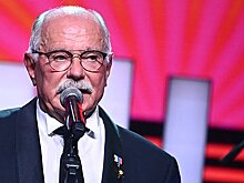 Михалков возмутился недалекостью блогера Милохина