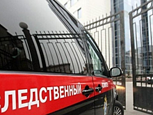 СК расследует дело о стрельбе по подросткам из окна квартиры в Москве
