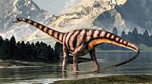 Жившие 150 млн лет динозавры страдали от простуды — исследование: Новости ➕1, 11.02.2022