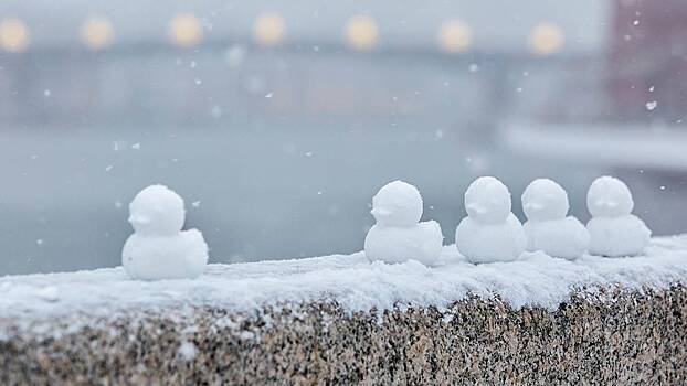 В Крещенскую ночь в Москве ожидается снег