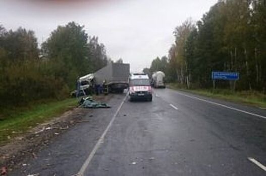 В Киржачском районе фуры столкнулись лоб в лоб
