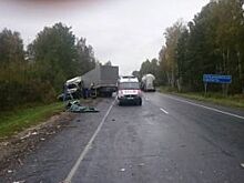 В Киржачском районе фуры столкнулись лоб в лоб