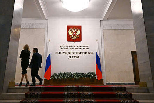 В России предложили сократить срок пребывания иностранцев до 90 суток в год