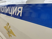 Воронежская полиция устанавливает личность пешехода, погибшего под колесами Dodge Caravan