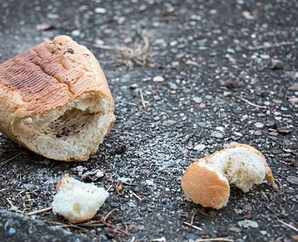 Петербуржцы заметили выброшенную на помойку партию хлеба, не распроданную в магазине