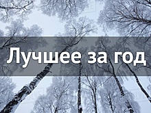 Лучшее за год. Декабрь