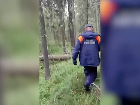 Сотрудники полиции Алтайского края совместно с поисковиками-добровольцами нашли заблудившуюся в лесу 12-летнюю девочку