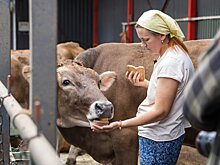 «Пятёрочка» передала фермерам Тверской области более 6,8 млн кг продуктов на корм животным