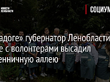 На «Ладоге» губернатор Ленобласти вместе с волонтерами высадил лиственничную аллею