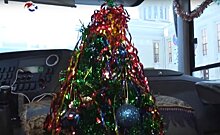 В Карелии водитель автобуса установил новогоднюю елку в салоне